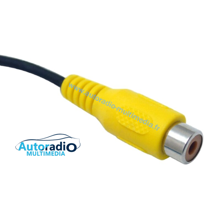 Câble adaptateur vidéo RCA