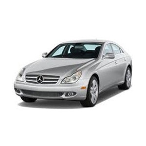 CLS W219